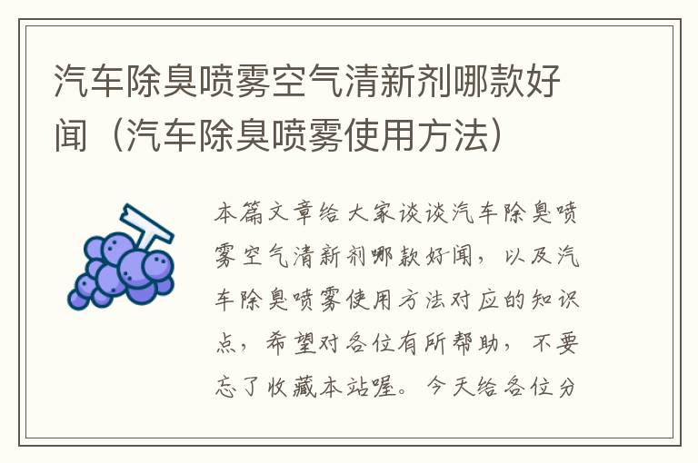 汽车除臭喷雾空气清新剂哪款好闻（汽车除臭喷雾使用方法）