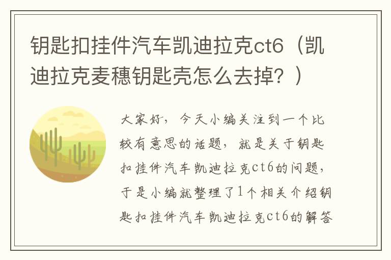 钥匙扣挂件汽车凯迪拉克ct6（凯迪拉克麦穗钥匙壳怎么去掉？）