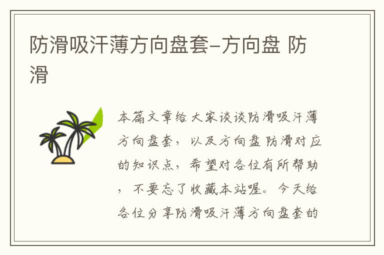 防滑吸汗薄方向盘套-方向盘 防滑