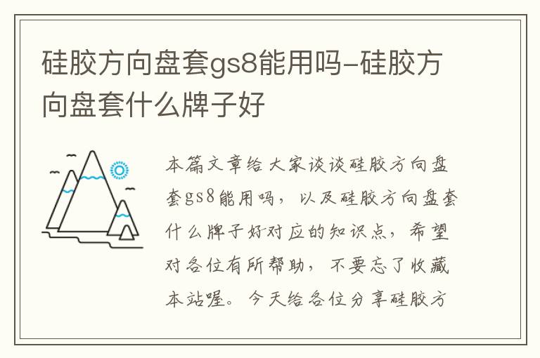 硅胶方向盘套gs8能用吗-硅胶方向盘套什么牌子好