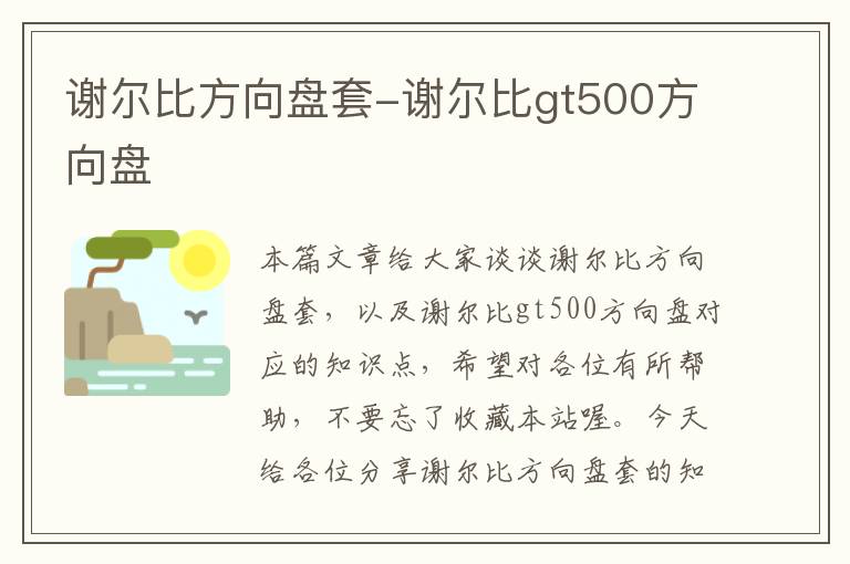 谢尔比方向盘套-谢尔比gt500方向盘