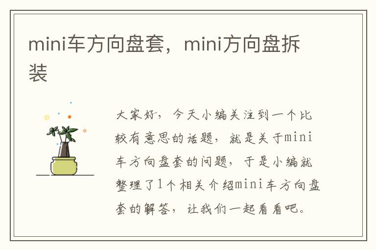 mini车方向盘套，mini方向盘拆装