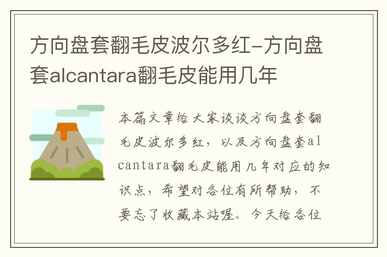 方向盘套翻毛皮波尔多红-方向盘套alcantara翻毛皮能用几年