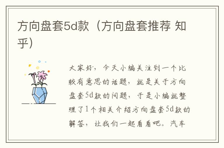 方向盘套5d款（方向盘套推荐 知乎）