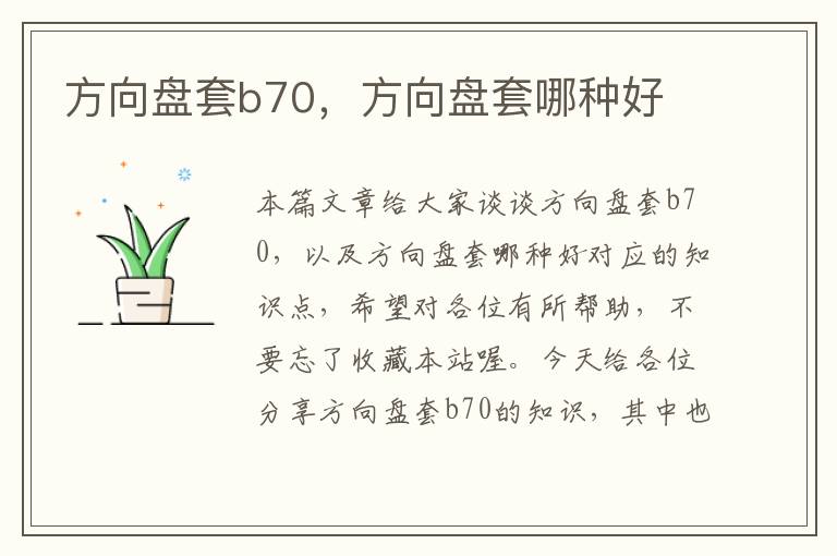 方向盘套b70，方向盘套哪种好