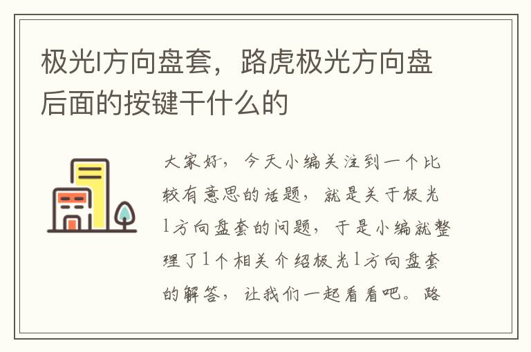 极光l方向盘套，路虎极光方向盘后面的按键干什么的