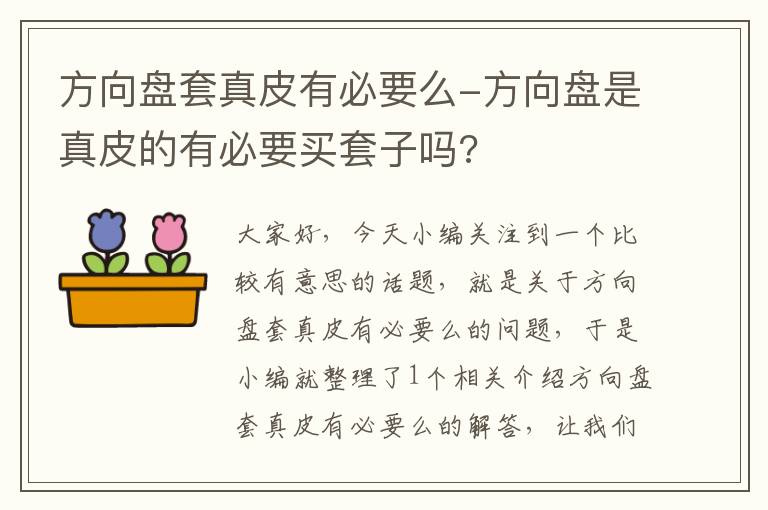 方向盘套真皮有必要么-方向盘是真皮的有必要买套子吗?