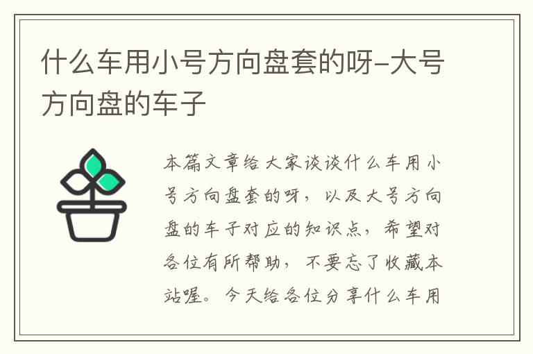 什么车用小号方向盘套的呀-大号方向盘的车子