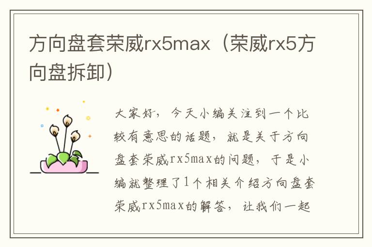 方向盘套荣威rx5max（荣威rx5方向盘拆卸）