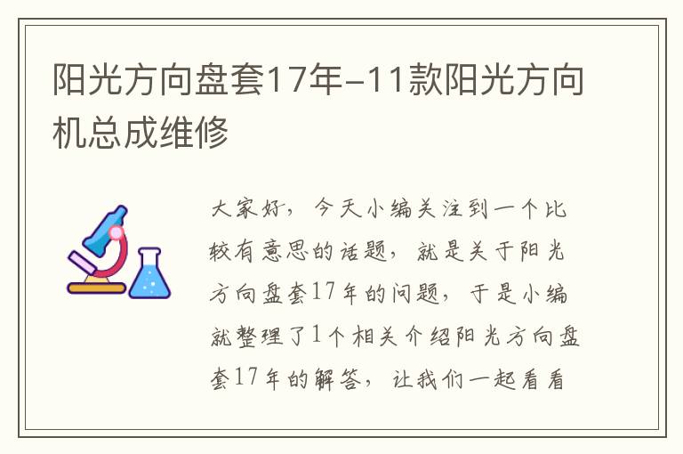 阳光方向盘套17年-11款阳光方向机总成维修