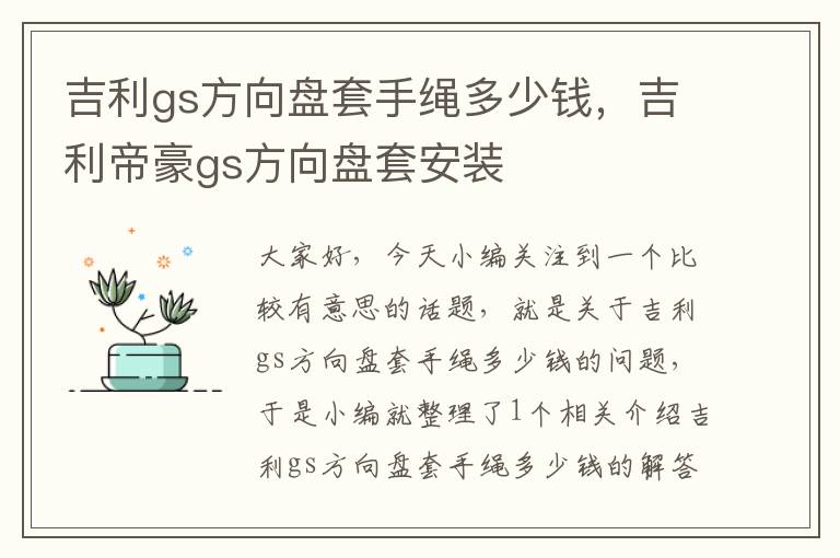 吉利gs方向盘套手绳多少钱，吉利帝豪gs方向盘套安装