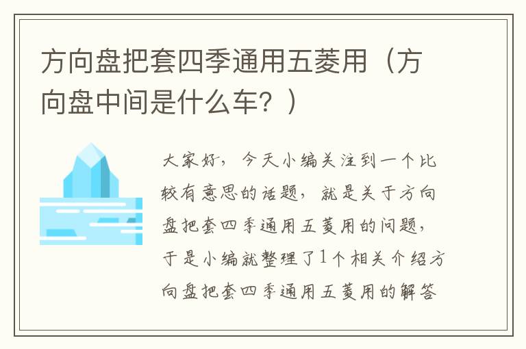 方向盘把套四季通用五菱用（方向盘中间是什么车？）