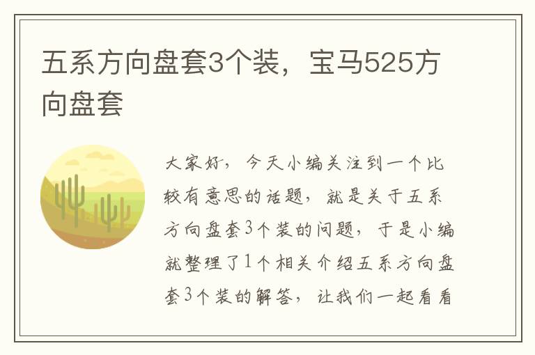 五系方向盘套3个装，宝马525方向盘套