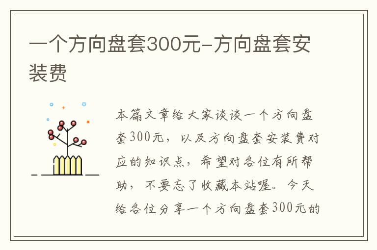 一个方向盘套300元-方向盘套安装费