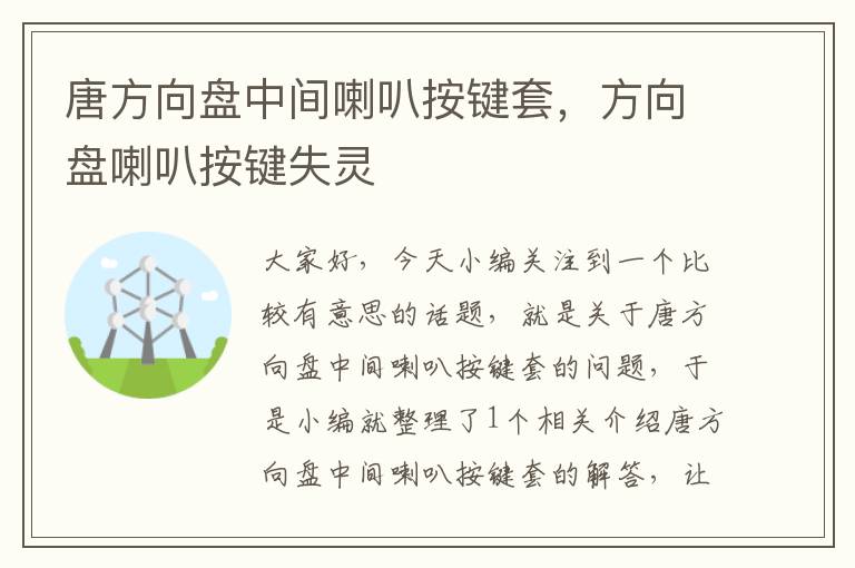 唐方向盘中间喇叭按键套，方向盘喇叭按键失灵