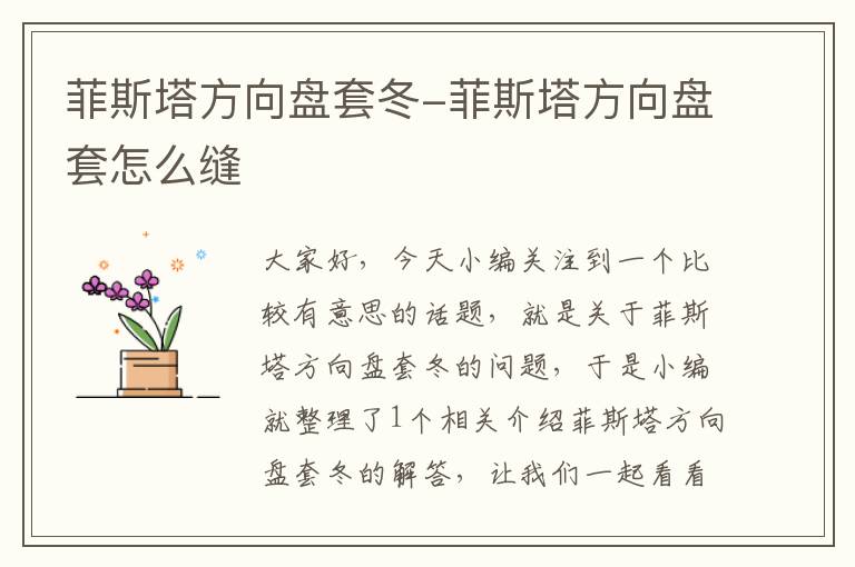 菲斯塔方向盘套冬-菲斯塔方向盘套怎么缝