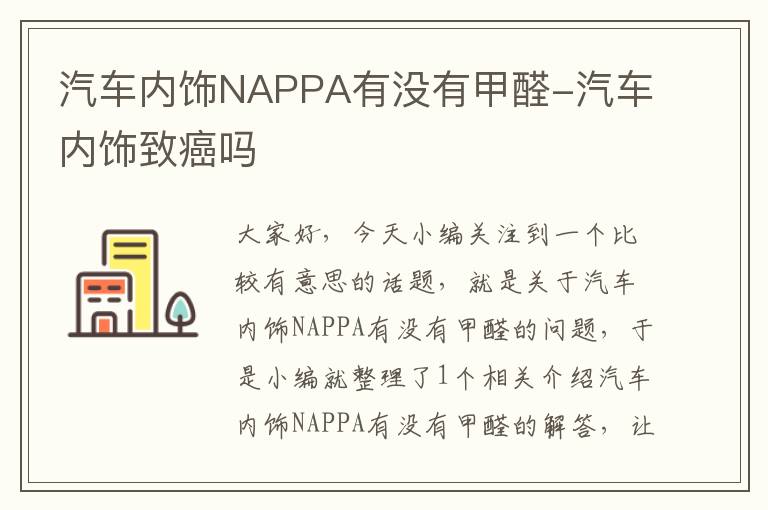 汽车内饰NAPPA有没有甲醛-汽车内饰致癌吗