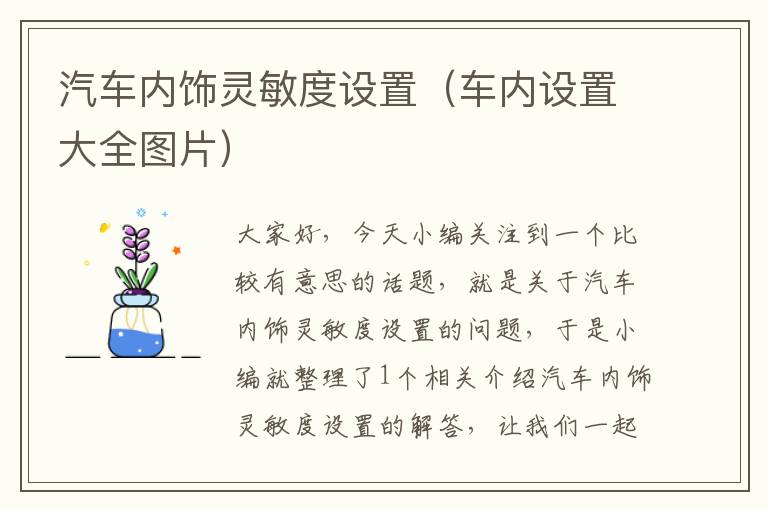 汽车内饰灵敏度设置（车内设置大全图片）