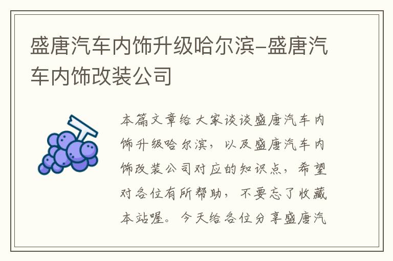 盛唐汽车内饰升级哈尔滨-盛唐汽车内饰改装公司