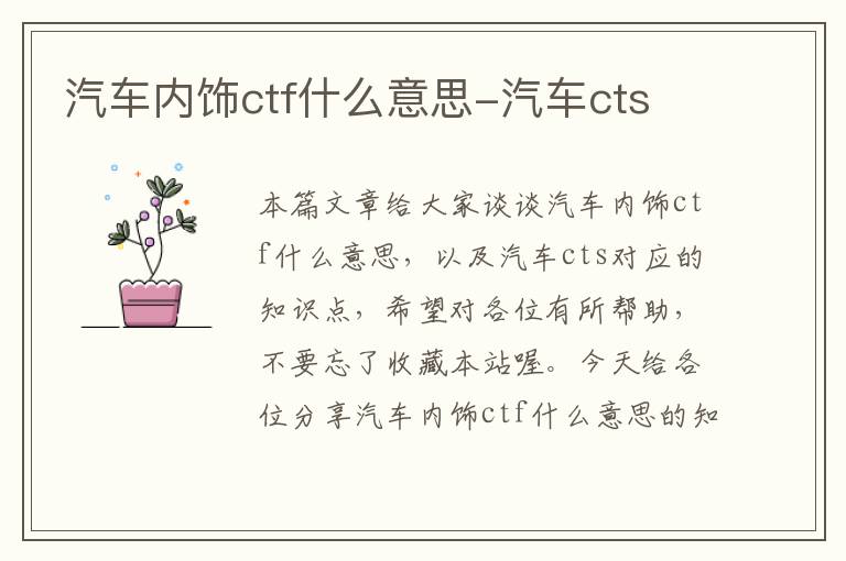 汽车内饰ctf什么意思-汽车cts