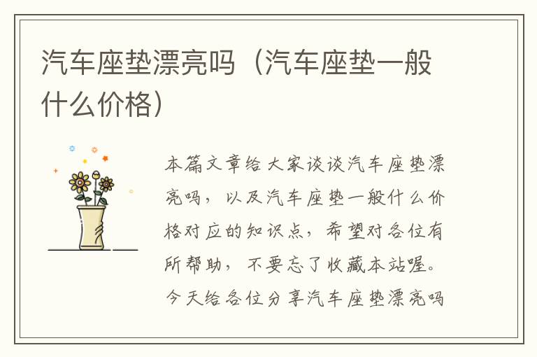 汽车座垫漂亮吗（汽车座垫一般什么价格）