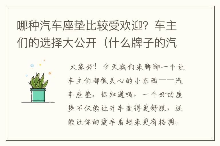 哪种汽车座垫比较受欢迎？车主们的选择大公开（什么牌子的汽车坐垫实惠又耐用）