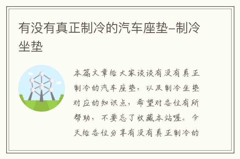 有没有真正制冷的汽车座垫-制冷坐垫