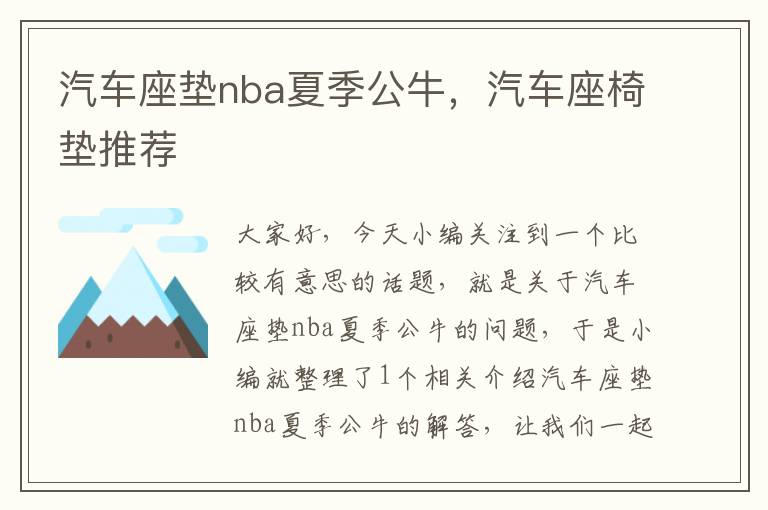 汽车座垫nba夏季公牛，汽车座椅垫推荐