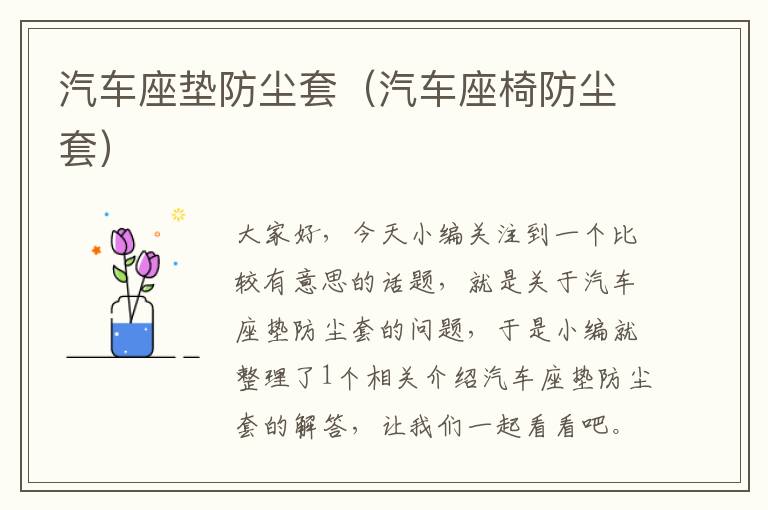 汽车座垫防尘套（汽车座椅防尘套）