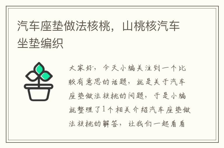 汽车座垫做法核桃，山桃核汽车坐垫编织