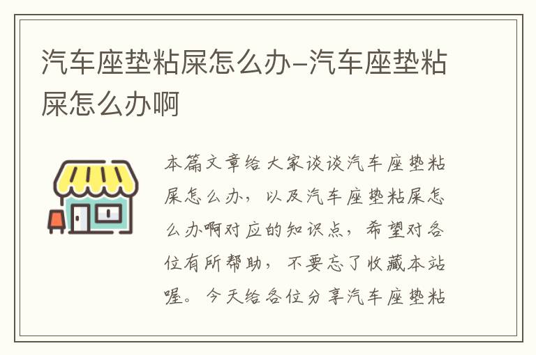 汽车座垫粘屎怎么办-汽车座垫粘屎怎么办啊