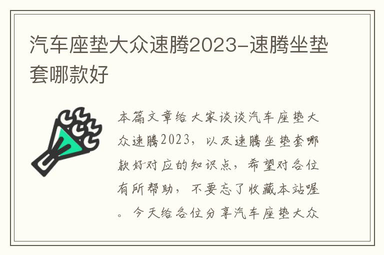 汽车座垫大众速腾2023-速腾坐垫套哪款好