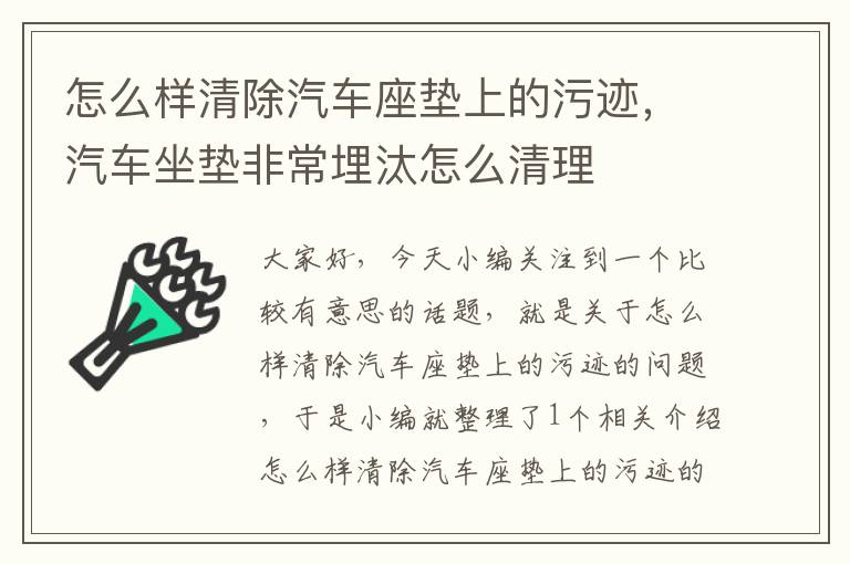 怎么样清除汽车座垫上的污迹，汽车坐垫非常埋汰怎么清理