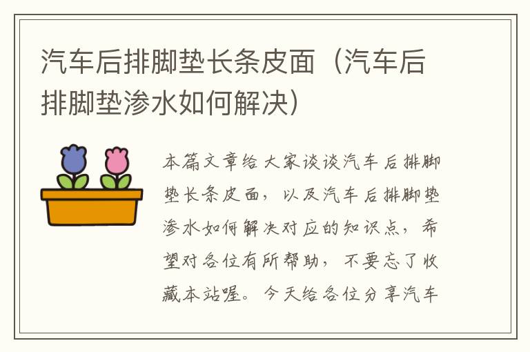 汽车后排脚垫长条皮面（汽车后排脚垫渗水如何解决）