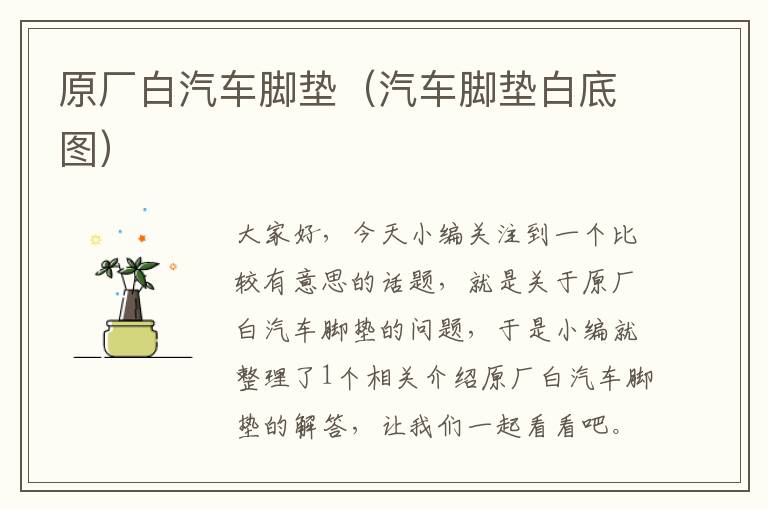 原厂白汽车脚垫（汽车脚垫白底图）