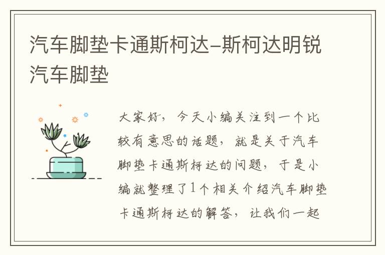 汽车脚垫卡通斯柯达-斯柯达明锐汽车脚垫