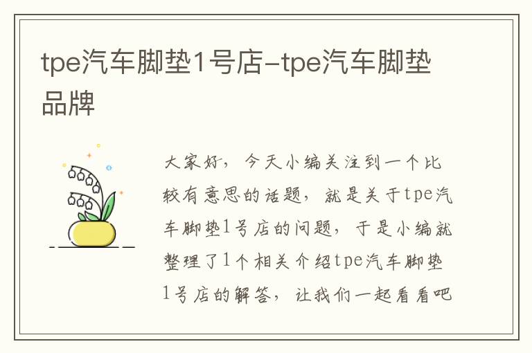 tpe汽车脚垫1号店-tpe汽车脚垫品牌