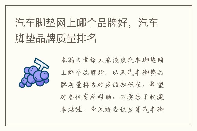 汽车脚垫网上哪个品牌好，汽车脚垫品牌质量排名