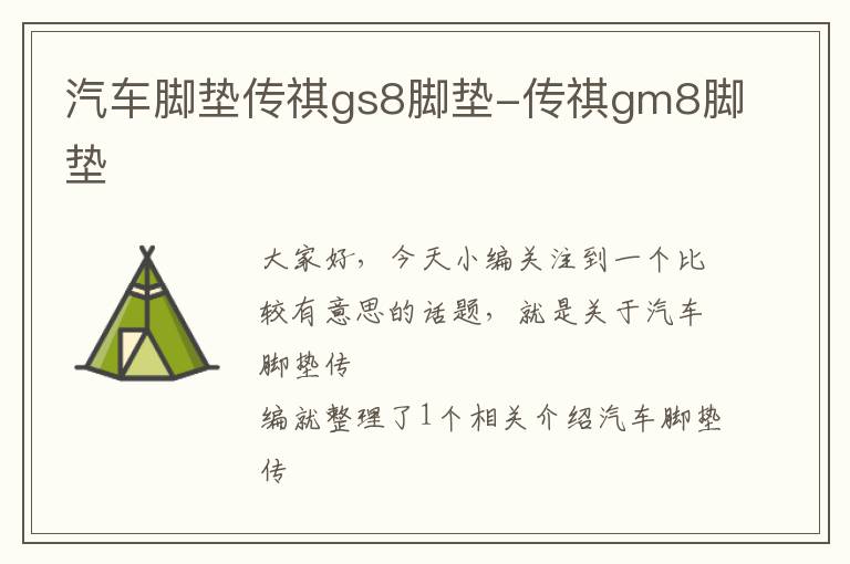 汽车脚垫传祺gs8脚垫-传祺gm8脚垫