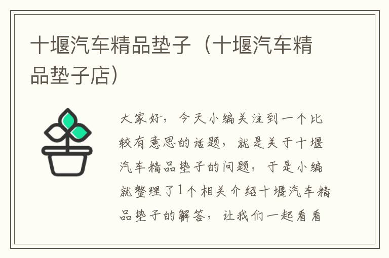 十堰汽车精品垫子（十堰汽车精品垫子店）