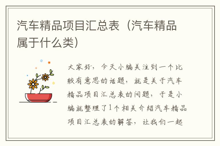 汽车精品项目汇总表（汽车精品属于什么类）