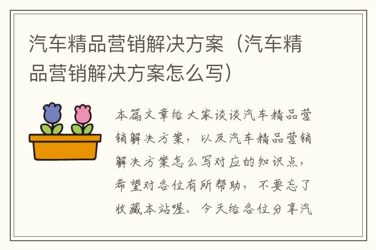 汽车精品营销解决方案（汽车精品营销解决方案怎么写）