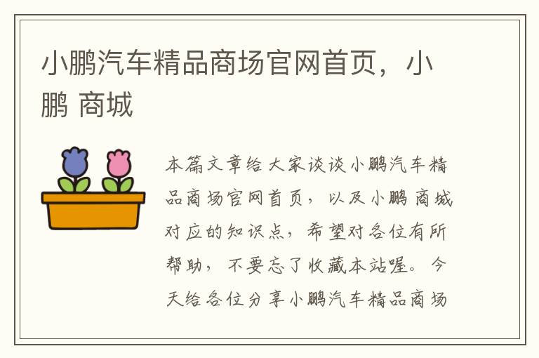 小鹏汽车精品商场官网首页，小鹏 商城