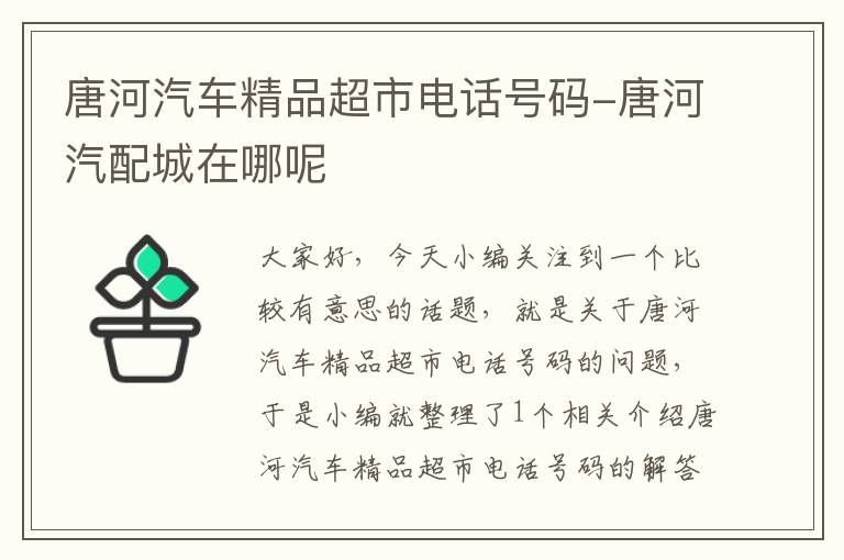 唐河汽车精品超市电话号码-唐河汽配城在哪呢